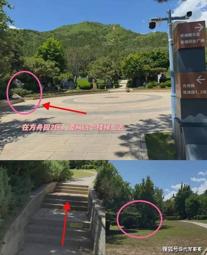 李媛媛墓地现状：杂草丛生似遗忘角落，鲜亮照片诉说昔日风华