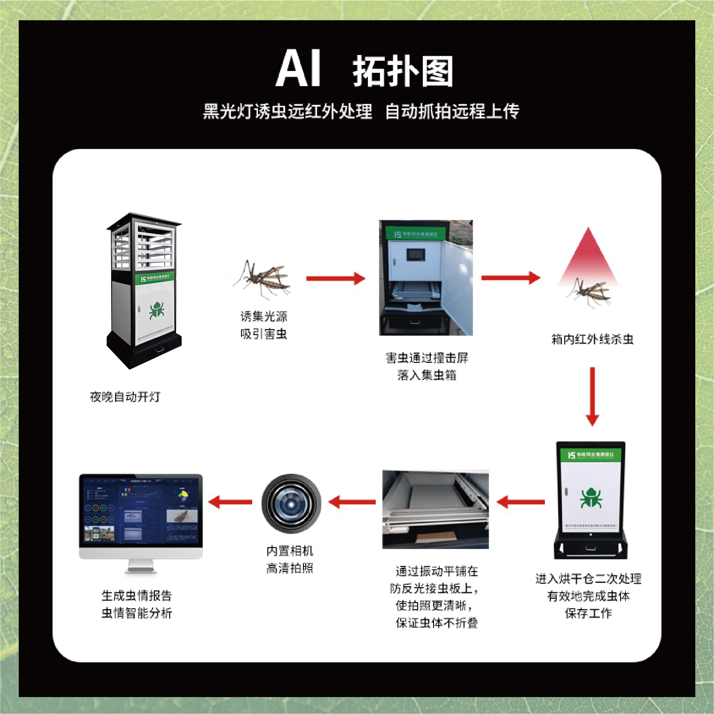 智能虫情测报灯：解锁农业虫害防控的 “智慧密码”