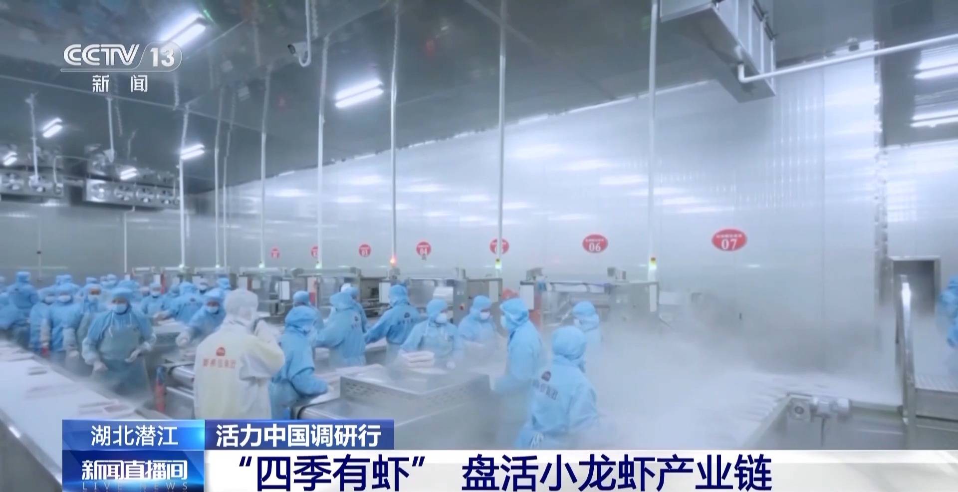 活力中国调研行丨湖北潜江大个儿“炮头虾”正“四季速达”你的餐桌