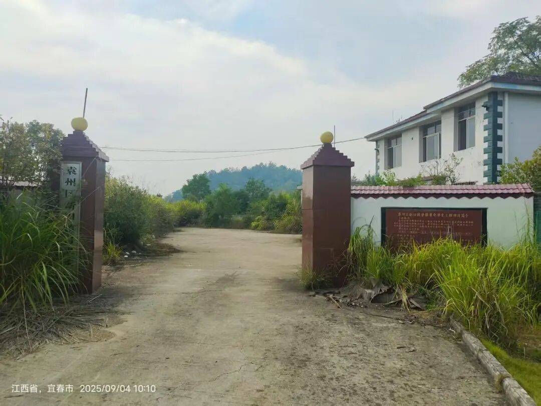 宜春市袁州区新田镇集镇“千吨万人”农村饮水工程自建成即废弃 民生工程成伤心工程