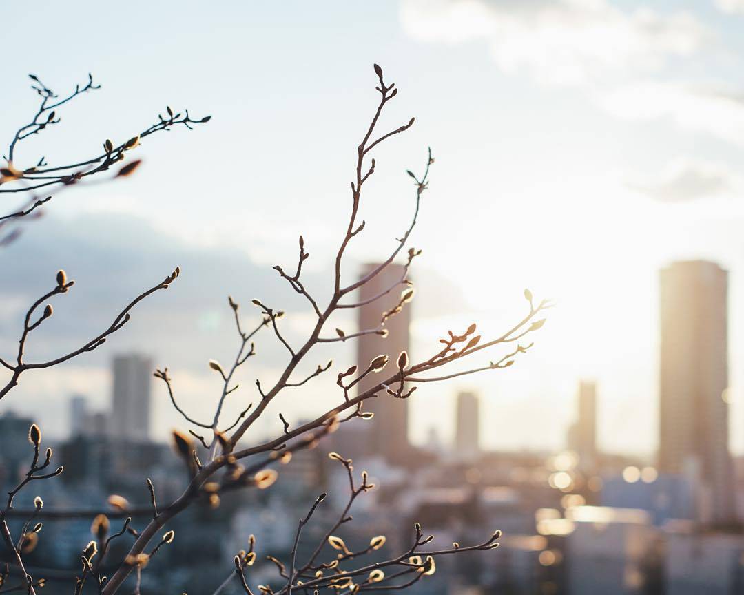 乐鱼体育- 乐鱼体育官网- APP世界杯指定平台出国留学中介机构选择注意事项