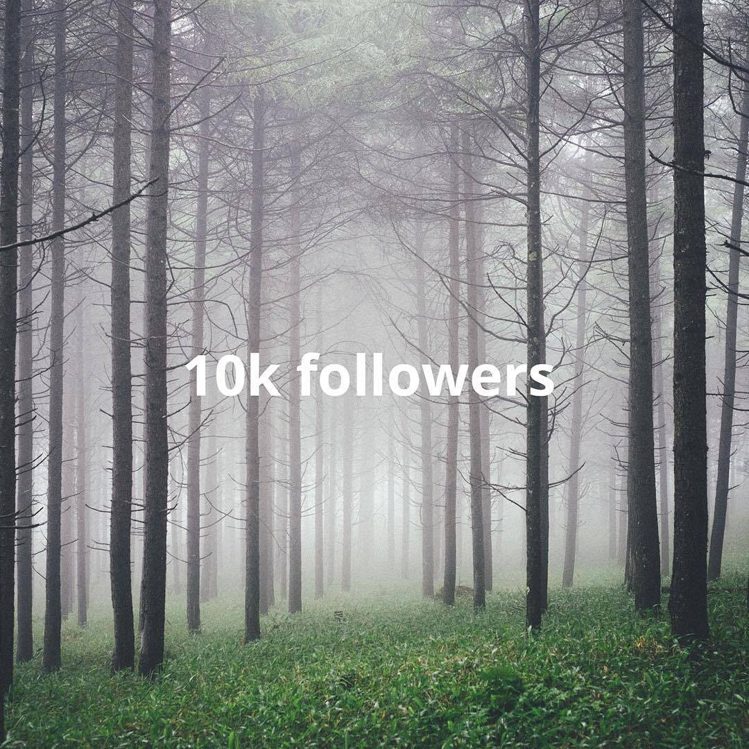 乐鱼体育- 乐鱼体育官网- APP世界杯指定平台出国留学机构哪家好一点