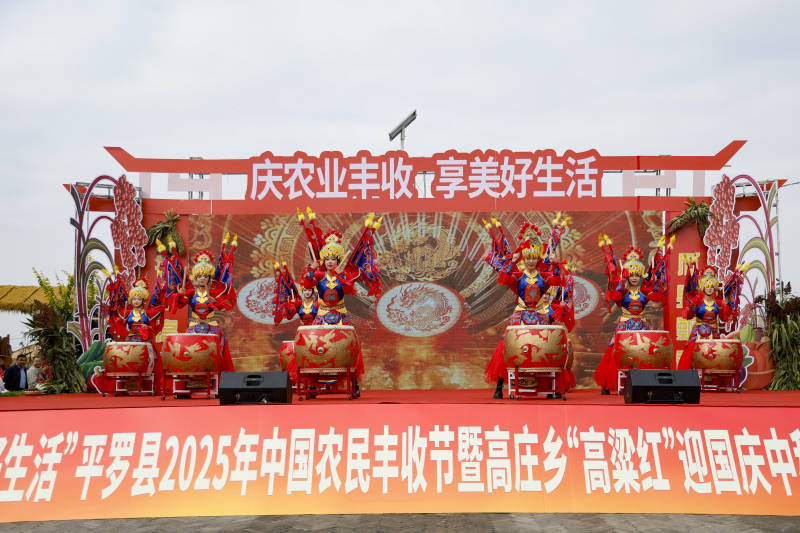 品“丰”味赏“丰”景庆丰收 石嘴山市平罗县：高粱红遍老巷子欢