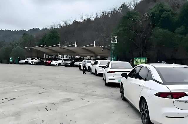 原创             电车车主遭遇的创新，排队叫号充电，先进技术节假日没啥用