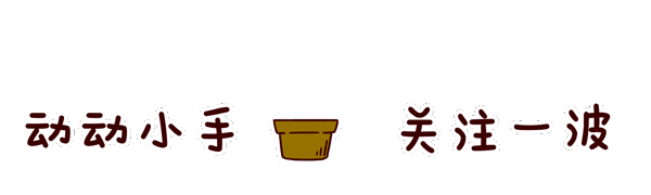 曝47岁言承旭已无法行走，膝盖积水肿大，暂时停工休养
