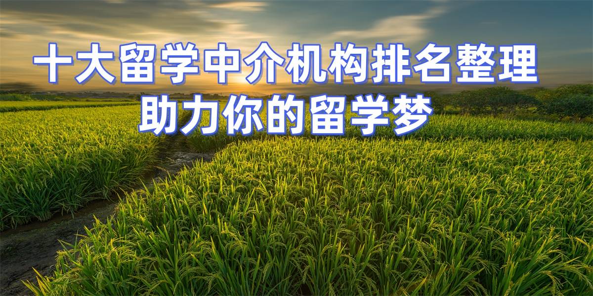 青岛四家正规留学中介乐鱼体育- 乐鱼体育官网- APP世界杯指定平台