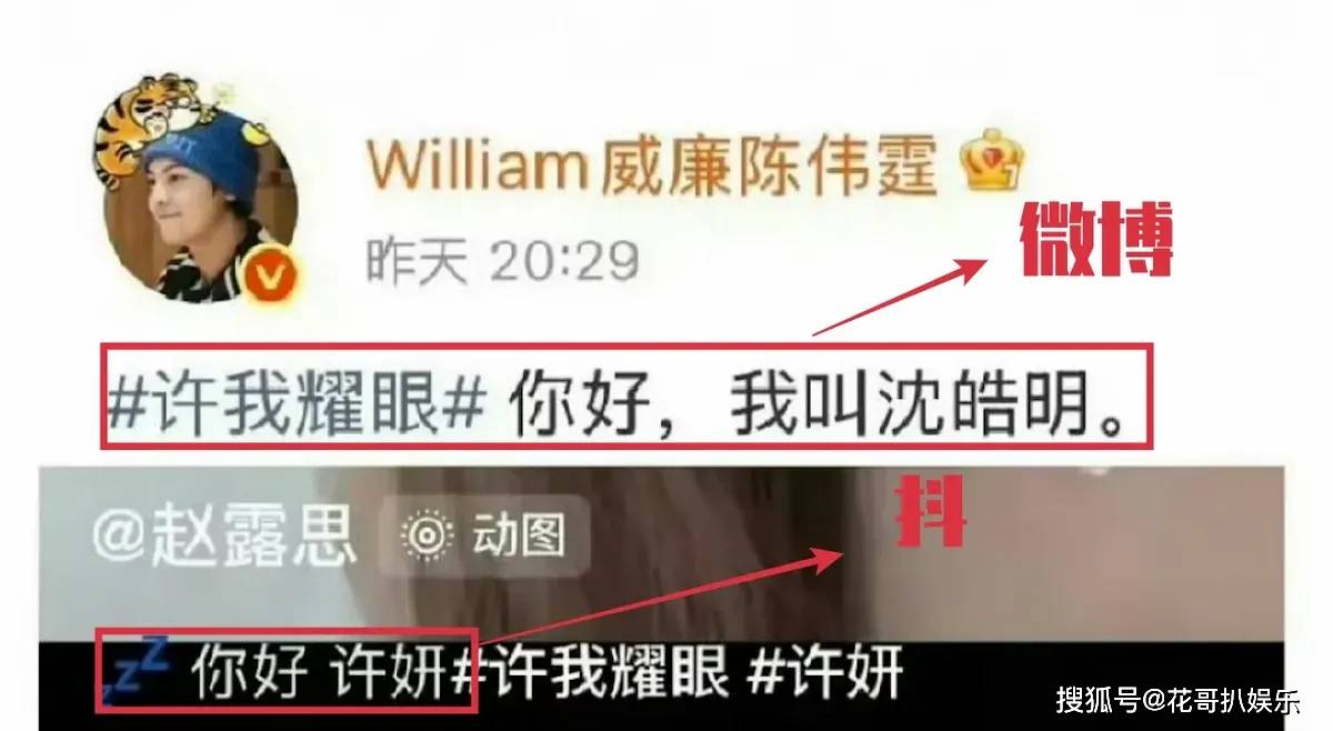 赵露思新剧发癫，吃瓜群众下场玩梗，好久没看到这么热闹的大热剧