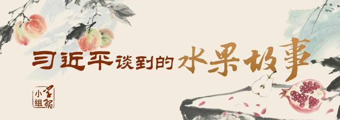 “石榴籽”的比喻