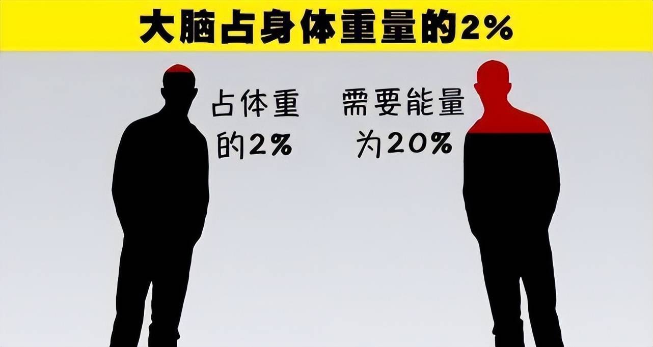 原创             人类只用百万年就进化出了智慧，为什么恐龙上亿年都没有做到？