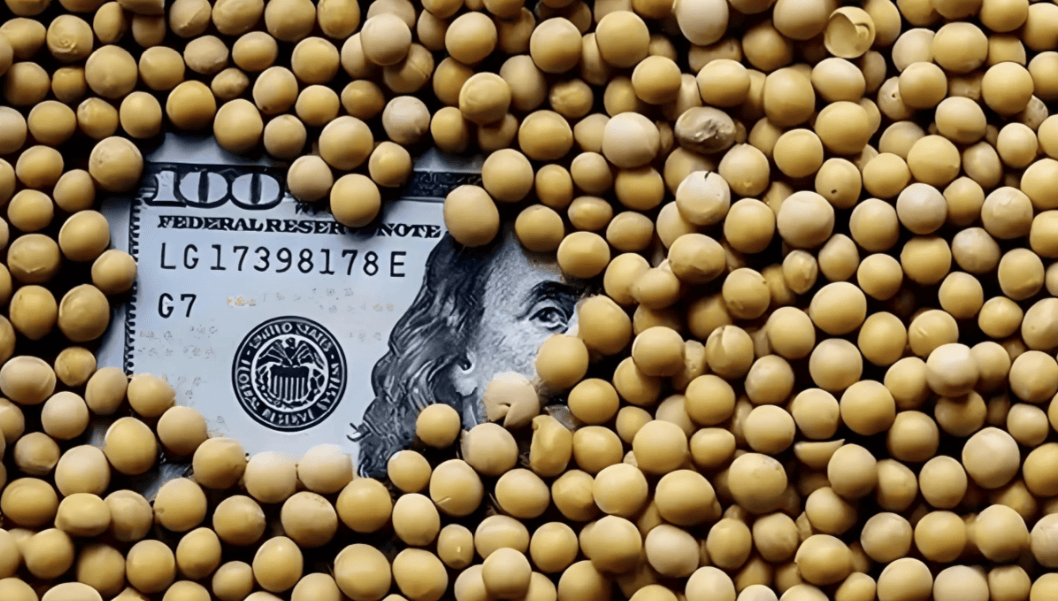 恢复进口美国大豆！巴西该搞清楚了，全球大豆的定价权在中国手里