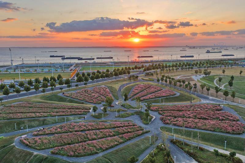 “苏超”决赛双城记——“头马”南通与“黑马”泰州