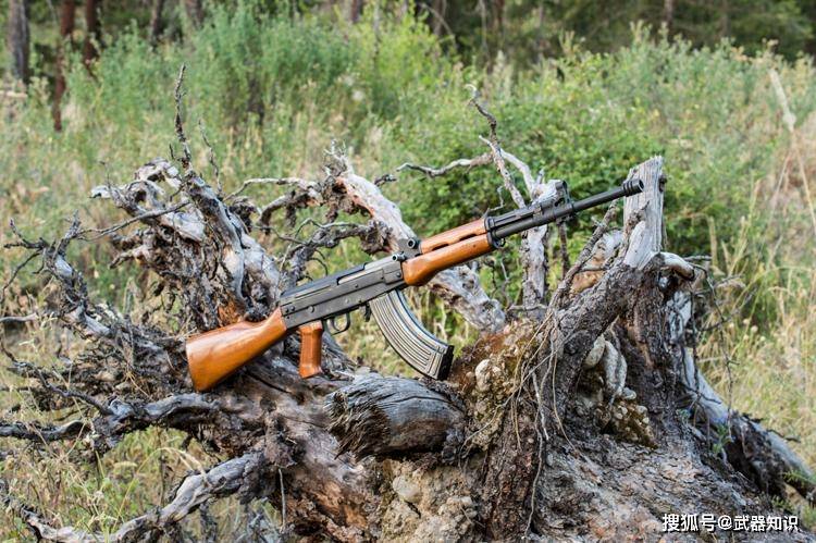 木与钢的经典 硬核解读56式半自动步枪的传奇与战史