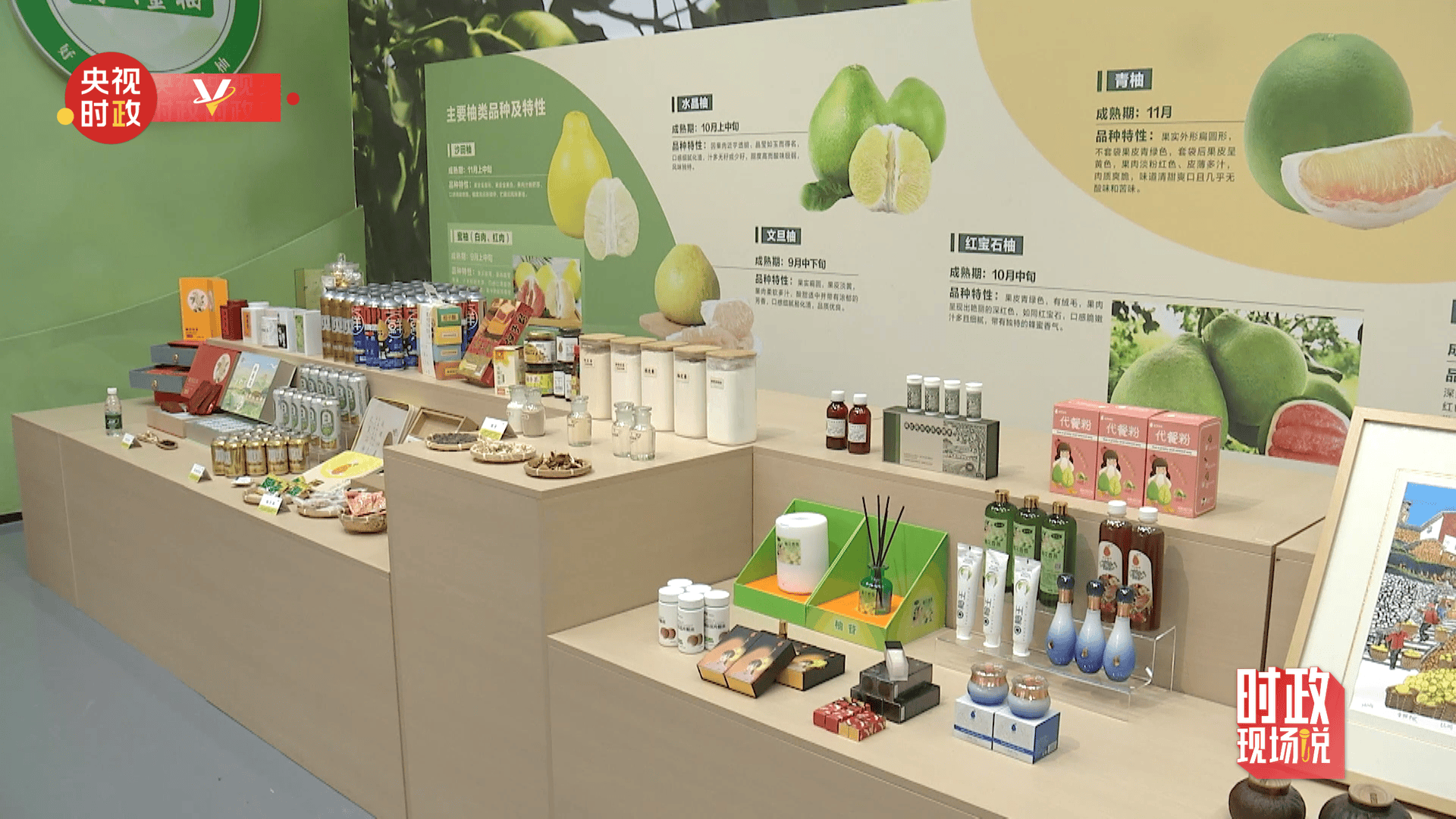 时政现场说丨金柚满枝头 产业甜万家