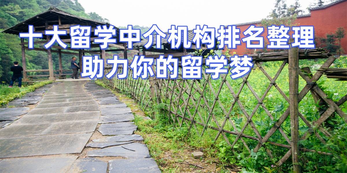 2025杭州出国留学机乐鱼体育- 乐鱼体育官网- APP世界杯指定平台构排名榜最新