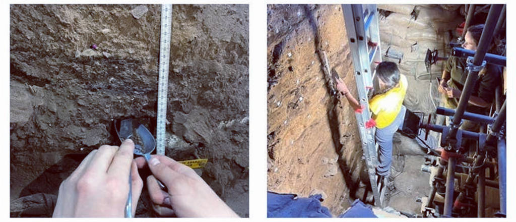 原创 科学家:我们可能错了,数万年前人类只剩1万人,罪魁祸首可能并不是史前火山大爆发