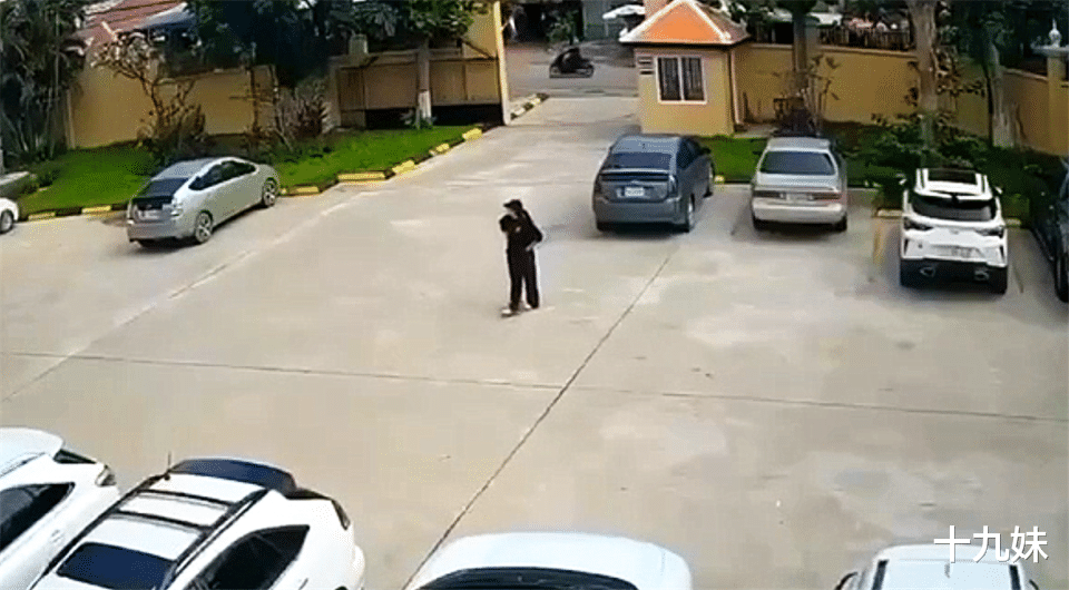 最美大嫂劫囚后续，柬埔寨警方披露调查细节，她根本不是什么孤胆英雄