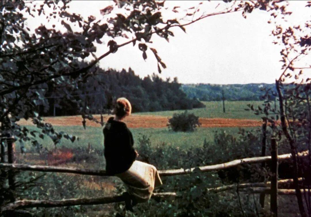 易烊千玺力撑票房但难抵上映口碑两极…《狂野时代》最大的“罪过”，是难懂吗？