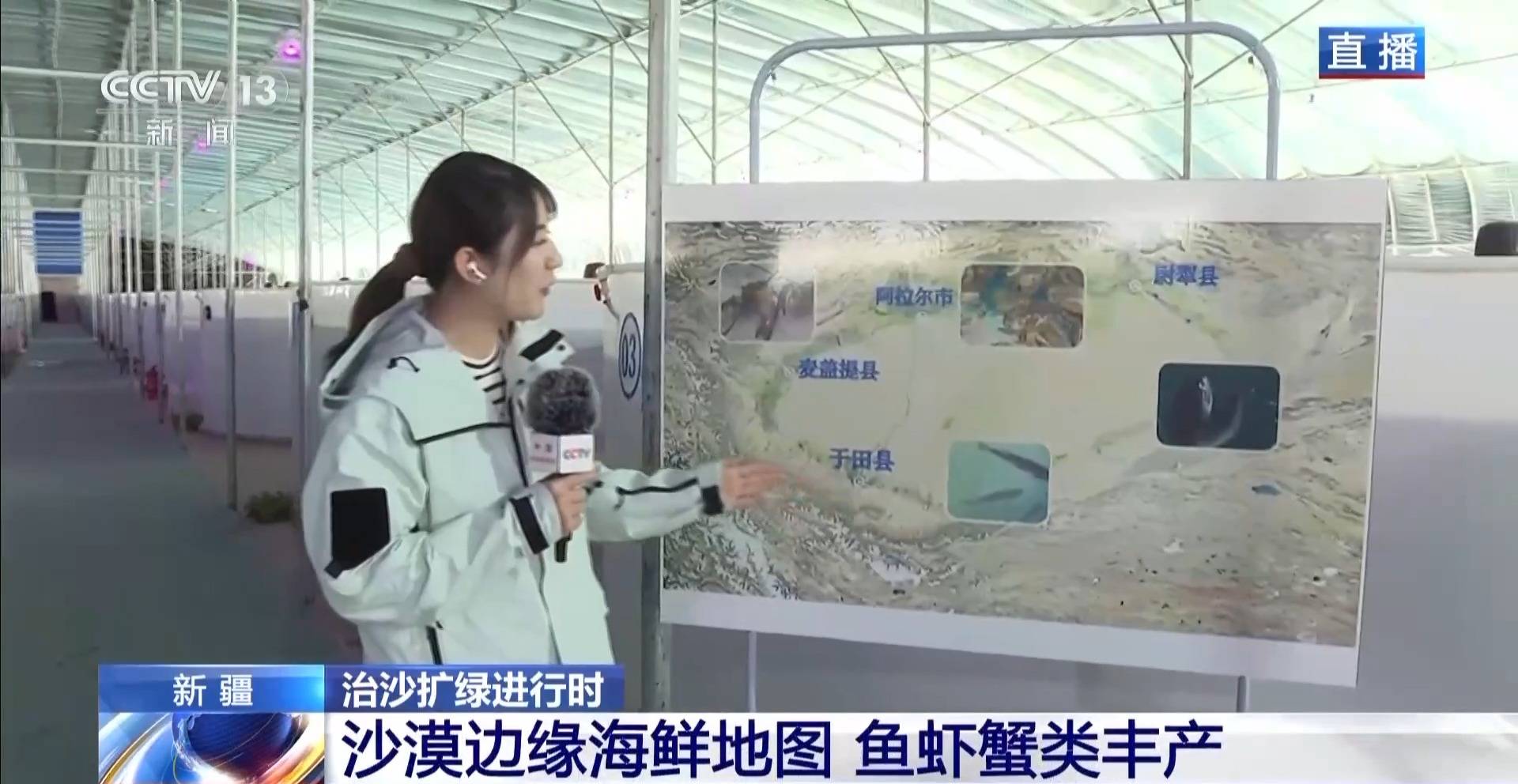 视频丨沙漠里如何养海鲜?解锁塔克拉玛干沙漠的水产养殖密码 视频丨沙漠里如何养海鲜?解锁塔克拉玛干沙漠的水产养殖密码