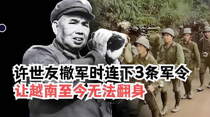 越南为何几十年无力翻身?许世友撤军前的3条命令,实在太高明了