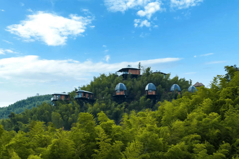 zoty中欧第二届桃花江杯”竹产品创新设计大赛启动