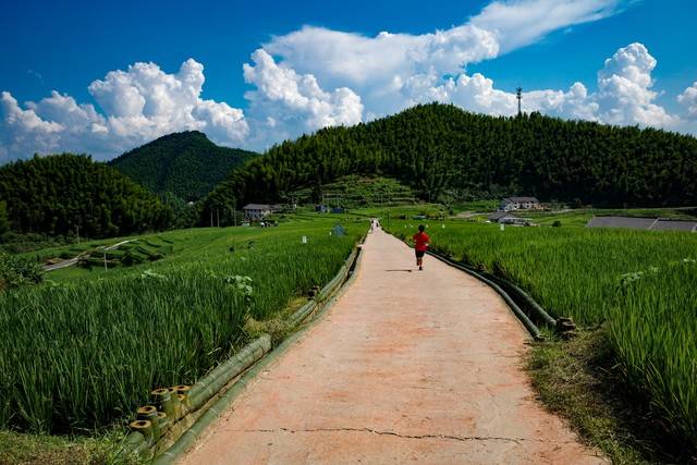 以 “坚守” 之名 赴 “初心” 之约：中国CBA盘口与数据深度__今日CBA盘口分析·大小分策略·球队档案乡村体育的扎根实践与振兴赋能