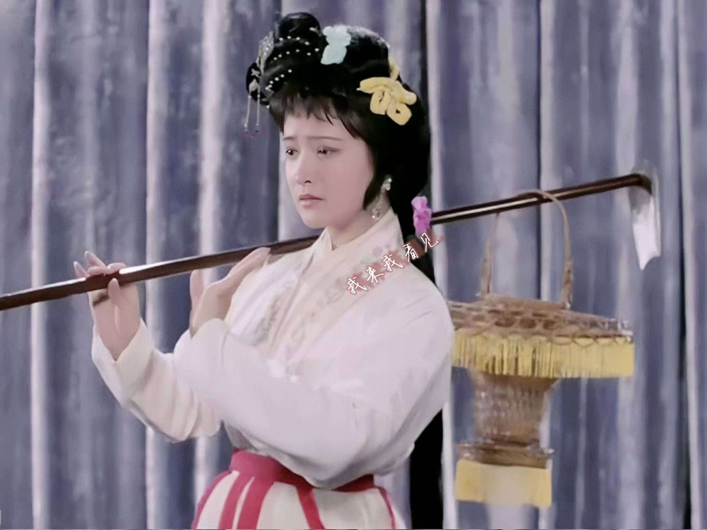 何晴遗产争夺战打响！继子与亲儿对簿公堂，遗嘱内容让人心寒