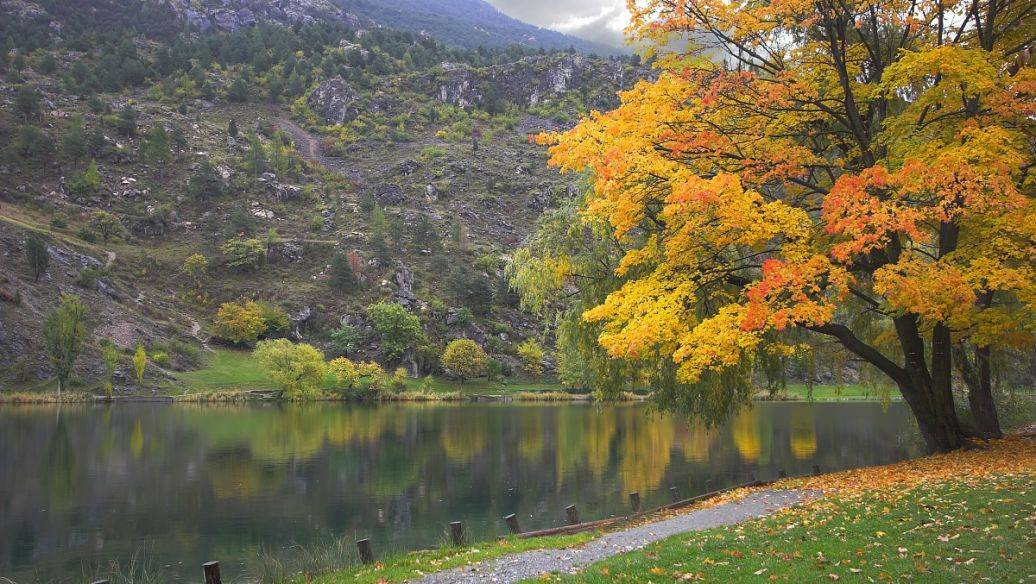 “华体会- 华体会体育官网- 体育APP下