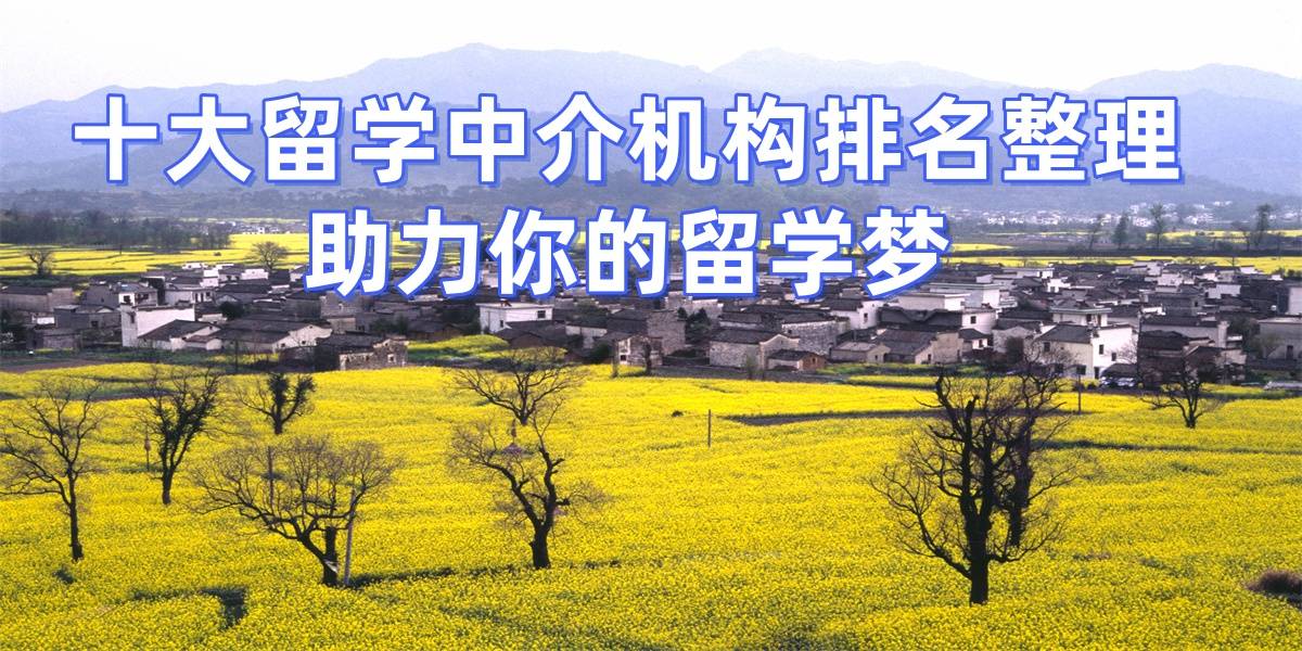 乐鱼体育- 乐鱼体育官网- APP世界杯指定平台盘点济南研究生留学机构十强资质正规、留学服务值得信赖