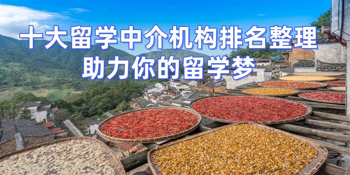 乐鱼体育- 乐鱼体育官网- APP世界杯指定平台济南硕士留学机构排名揭晓性价比高机构值得关注