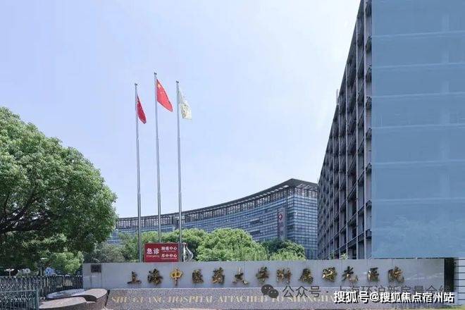 粹改善高端墅区2026网站绿城逸庐欢迎您冰球突破绿城逸庐售楼电话-浦东北蔡-纯(图11)