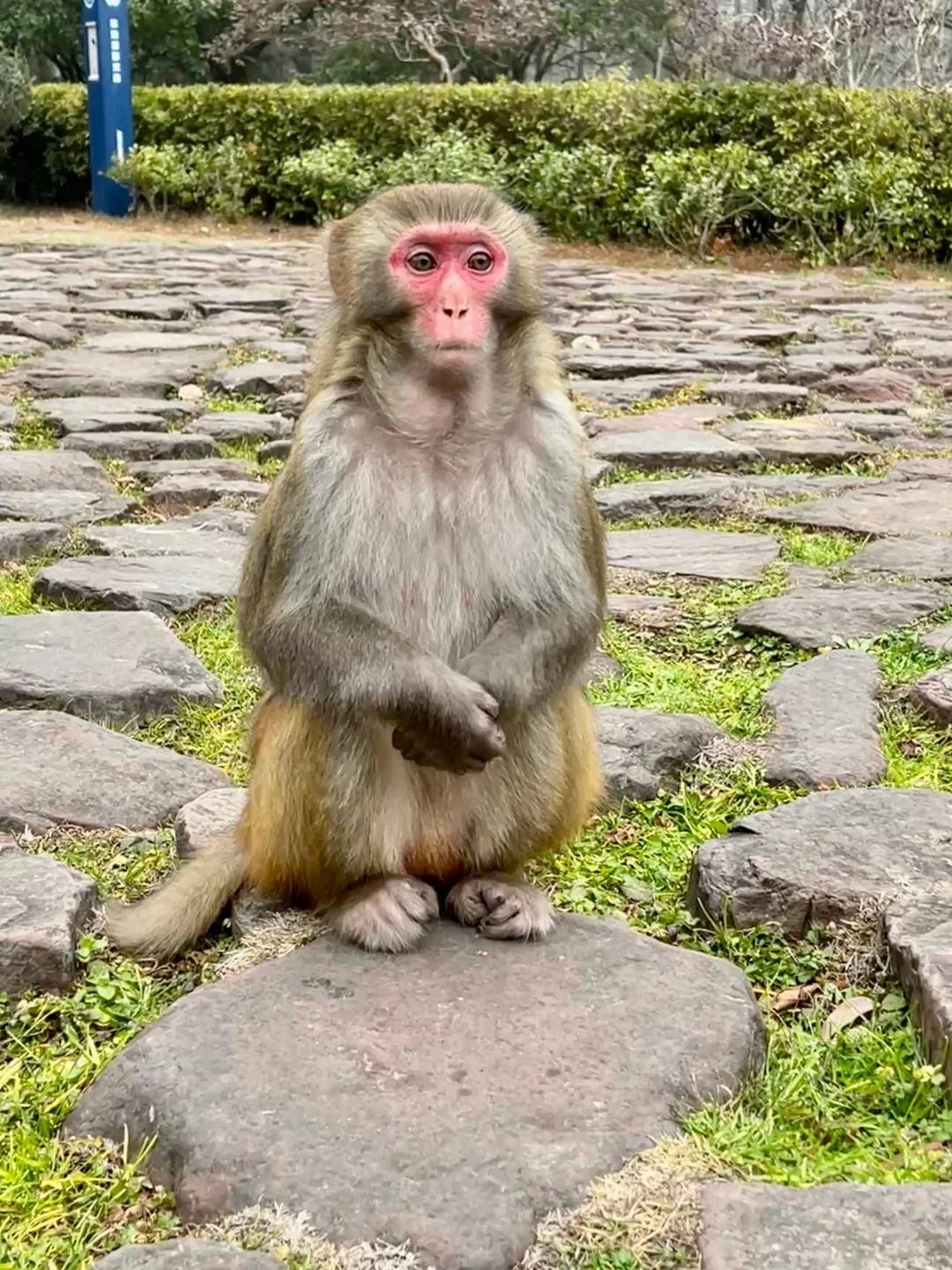 张家界Binance Casino - 领先的数字货币娱乐场，安全稳定，极速存取4天3晚自助游攻略如何找到靠谱的当地导游