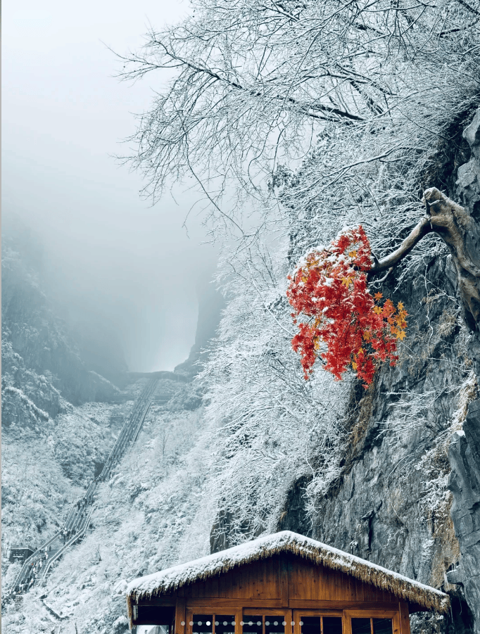 湘西年味 + 零踩坑Binance Ca