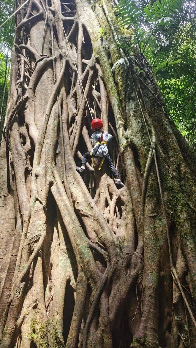 6云南正规十强旅行社纯玩避坑指南请查收j9国际站登录云南旅行社红黑榜｜202(图4)