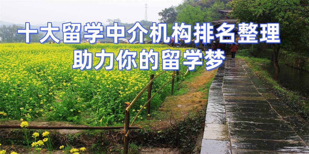 2026年上海留学机构排名！无隐形消费的真相揭秘乐鱼体育- 乐鱼体育官网- APP世界杯指定平台