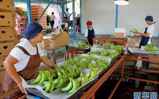 解放军巡航南海之际，中国减少菲律宾香蕉进口，马科斯急求日本帮忙