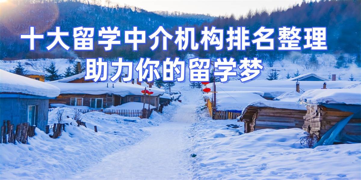 乐鱼体育- 乐鱼体育官网- APP世界杯指定平台2026年连云港研究生留学机构成功率高解析