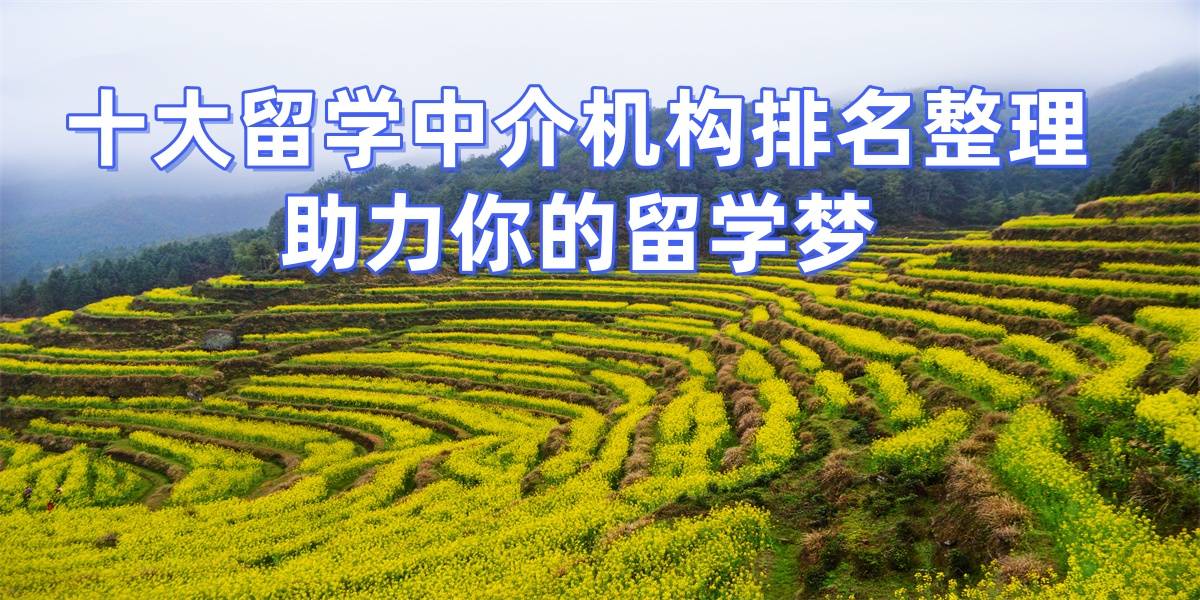 郑州硕士留学机构2026口碑榜单发布985乐鱼体育