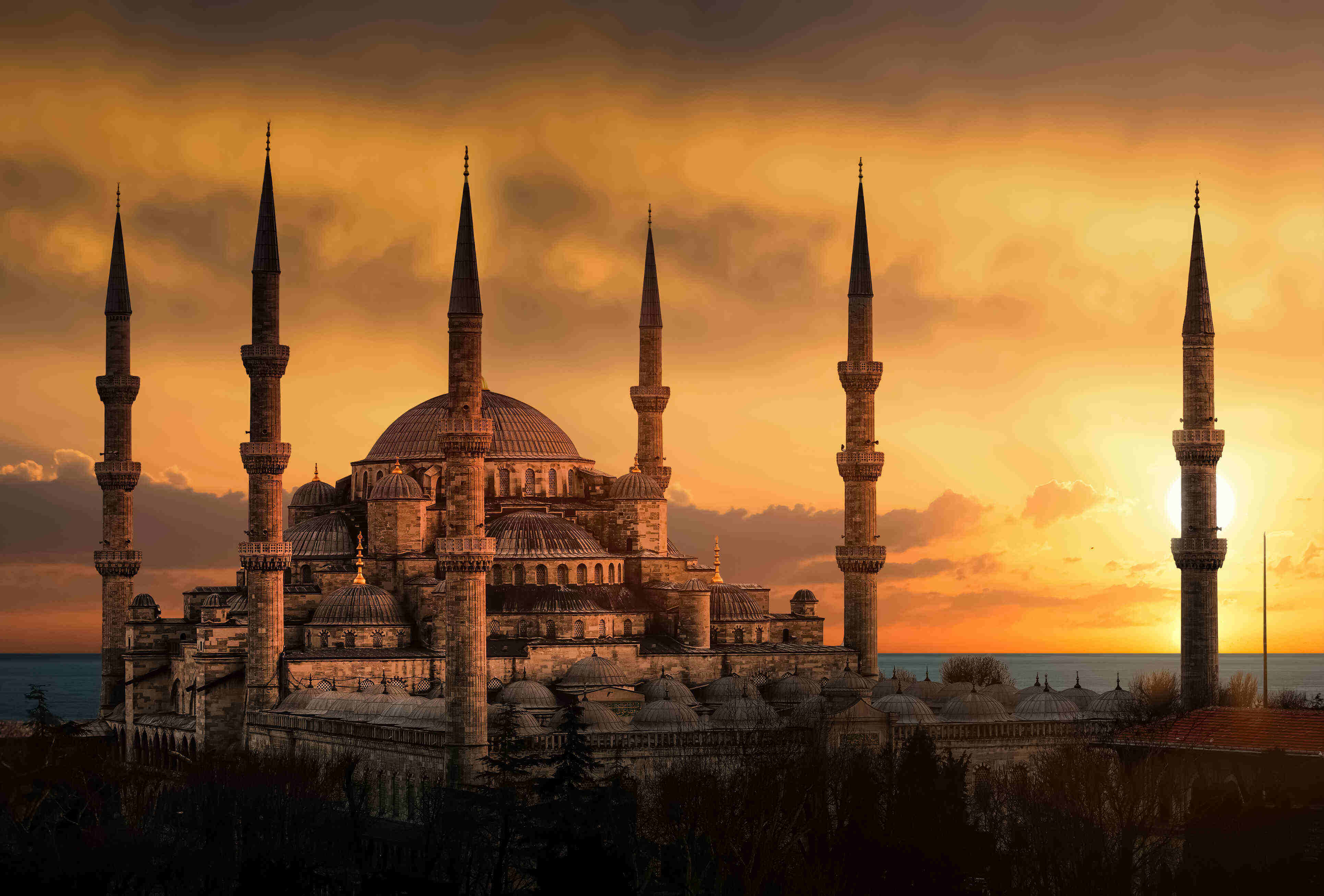 上海留学机构排名揭晓乐鱼体育- 乐鱼体育官网- A