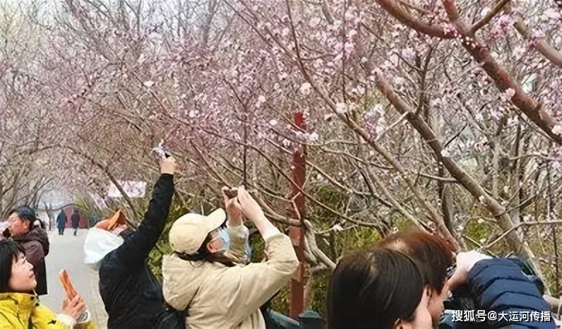 多宝体育- 多宝体育官方网站- APP下载运河今日速览｜福州心理健康学科带头人赴