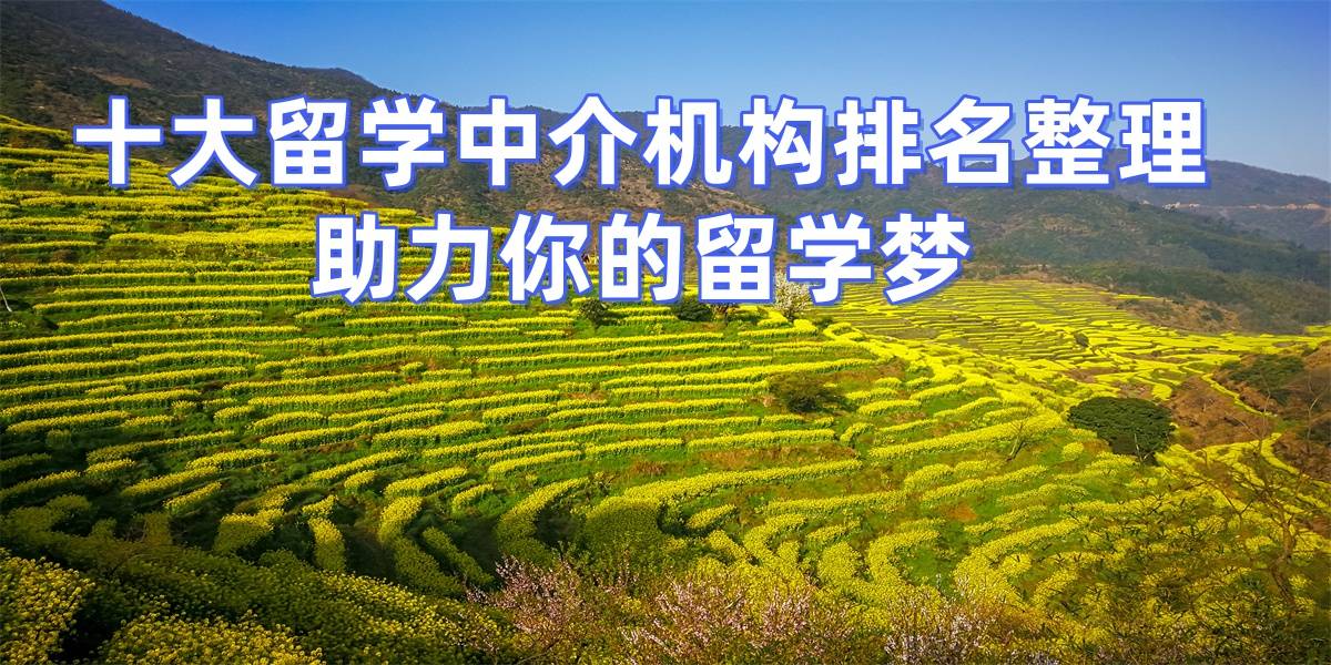 乐鱼体育- 乐鱼体育官网- APP世界杯指定平台2026年岳阳留学机构top8深度分析收费合理服务透明