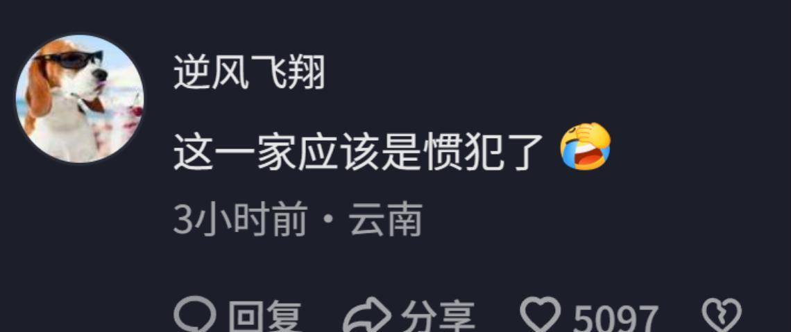 百万粉网红边牧被偷被180元卖掉宰了主人找上门被村民围攻