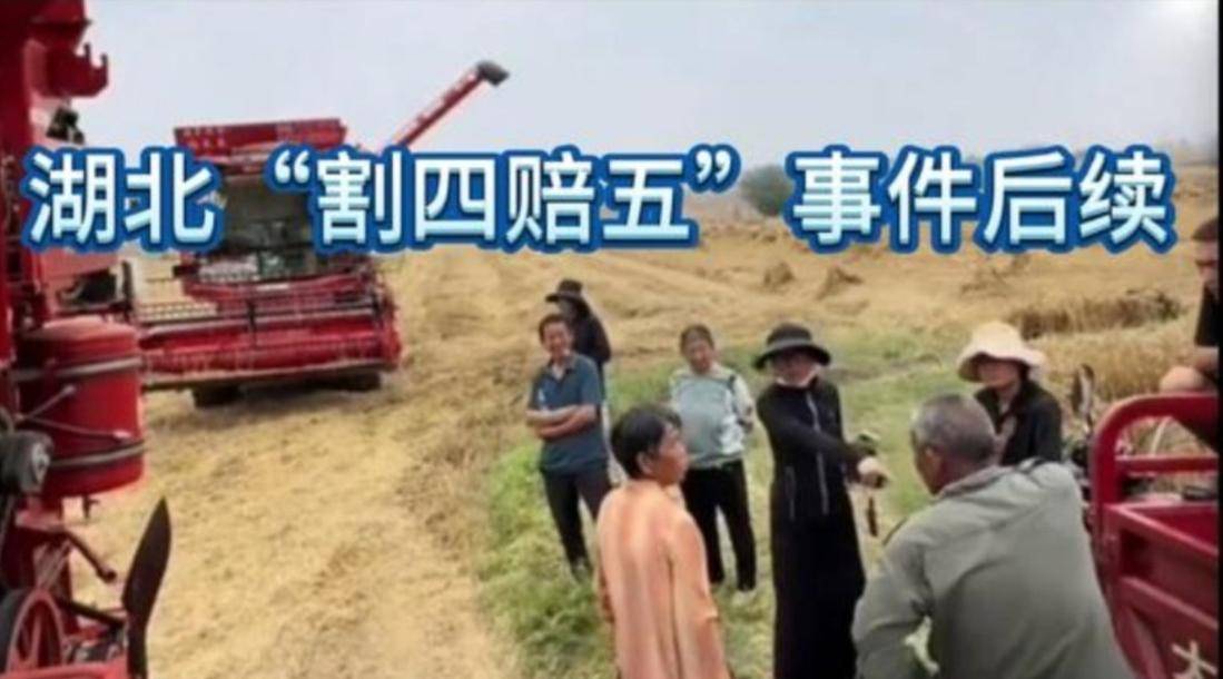 襄阳“割四赔五”风波升级多家派出所出手网红出面也无力扭转