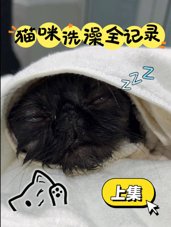 be78b2411b2a4171b7f6c9f35c423e15.jpeg