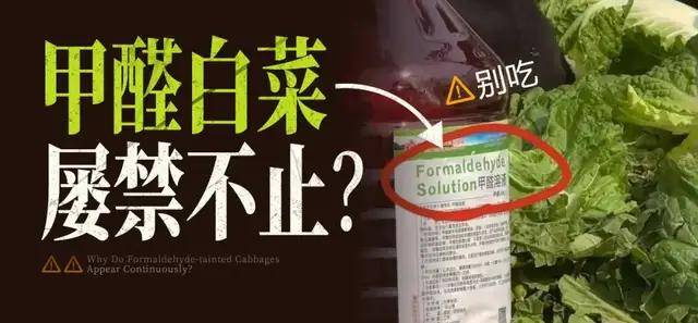 
        甲醛大白菜们，为什么屡禁不止？| 地球知识局
