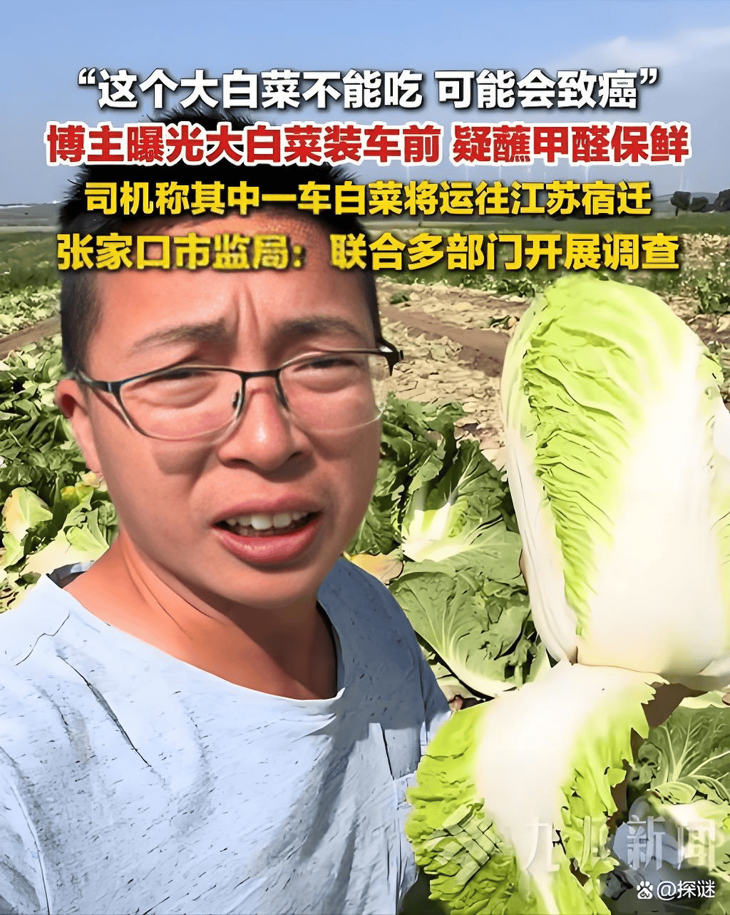 
        甲醛白菜真相：中间商偷加药水，为何遭殃的却是菜农