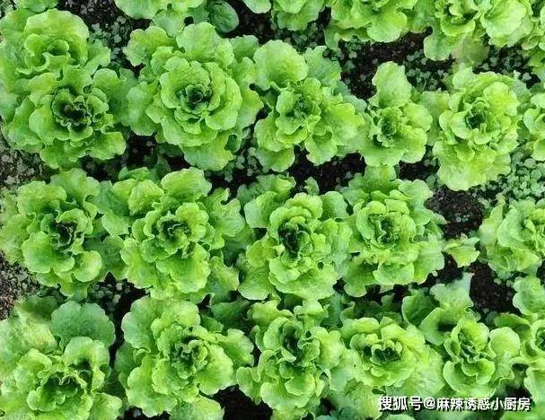 
        1粒土豆，1勺面粉，拌一拌挤一挤，炸成香酥小零食宝宝喜欢吃！