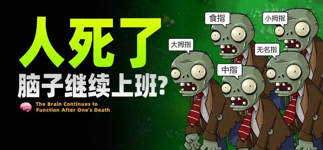 
        人死了，把脑子切下来，还可以继续工作？| 地球知识局