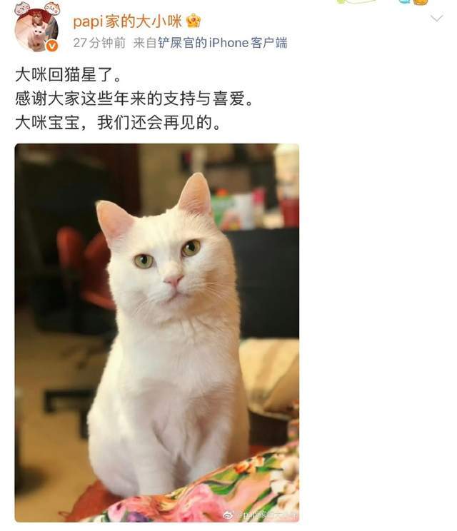 
            papi酱家的大咪回喵星了！