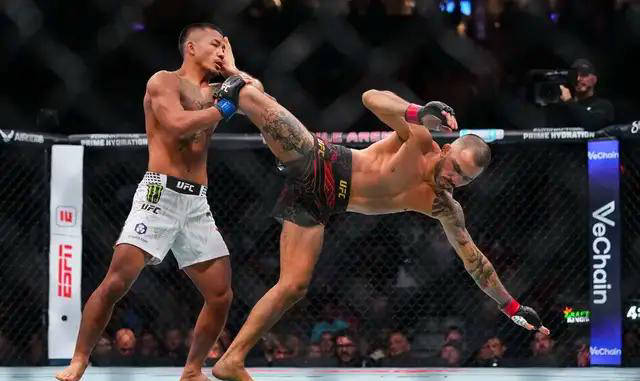 ufc格斗游戏