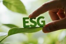 【ESG真心话】侯翠琴：A股ESG强制披露首年 哪些人才将更为稀缺